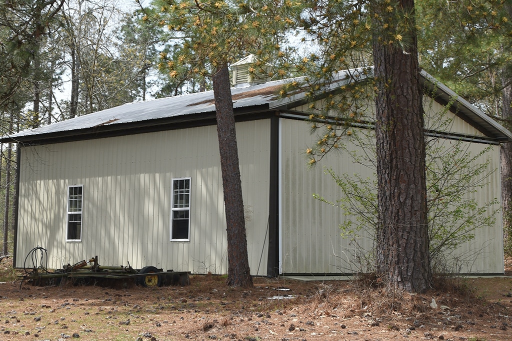 A small building in the woods with a tree in the background in Port Allen, LA.